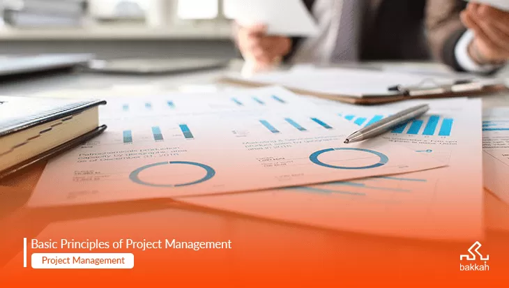 Project Management Definition, Basics and Approaches Explained