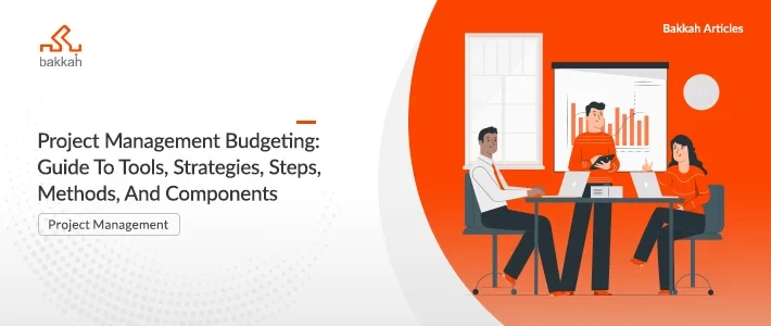 Project Management Budgeting: Guide To Tools, Strategies, Steps, Methods, And Components 