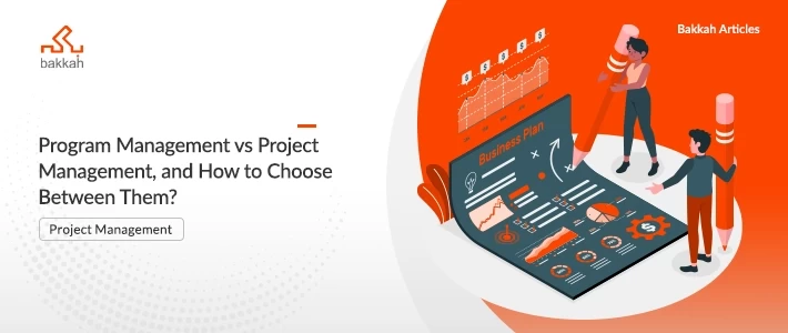 Program Management vs Project Management, and How to Choose Between Them?