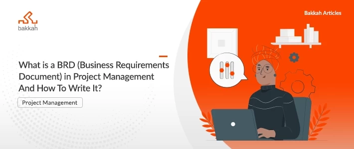 What is a BRD (Business Requirements Document) in Project Management And How To Write It?