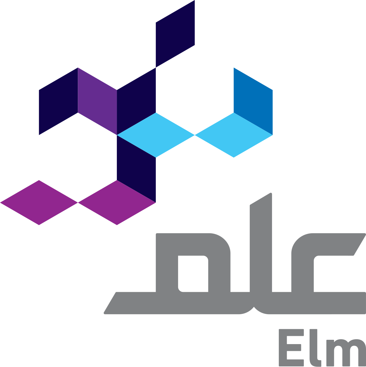 Elm information security