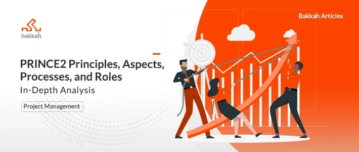 PRINCE2 Principles, Aspects, Processes, And Roles for Effective Project Management
